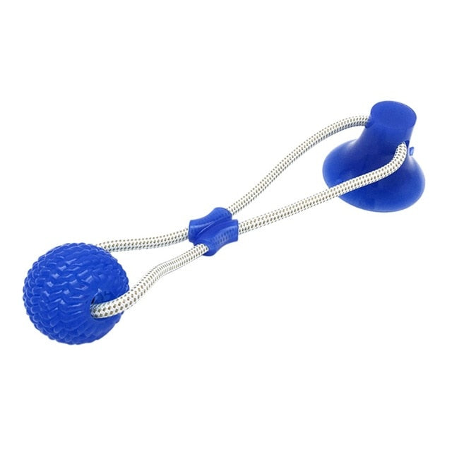 Multifunction Pet Molar Bite Toy Interactive fun Pet toy with suction cup dog push toy with TPR ball Pet Tooth Cleaning,Chewing