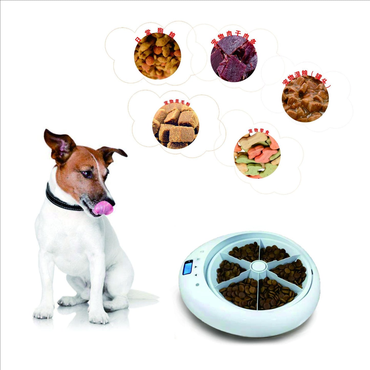 New Automatic Pet Feeder Intelligent Feeding 6-Meal Timing And Quantitative Led Blue Light Display Anti Pinch Foot