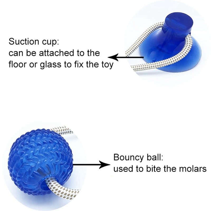Multifunction Pet Molar Bite Toy Interactive fun Pet toy with suction cup dog push toy with TPR ball Pet Tooth Cleaning,Chewing
