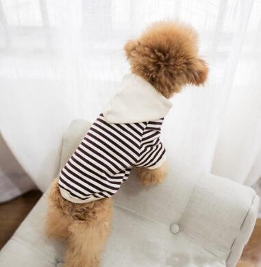 dog pet leisure parent-child