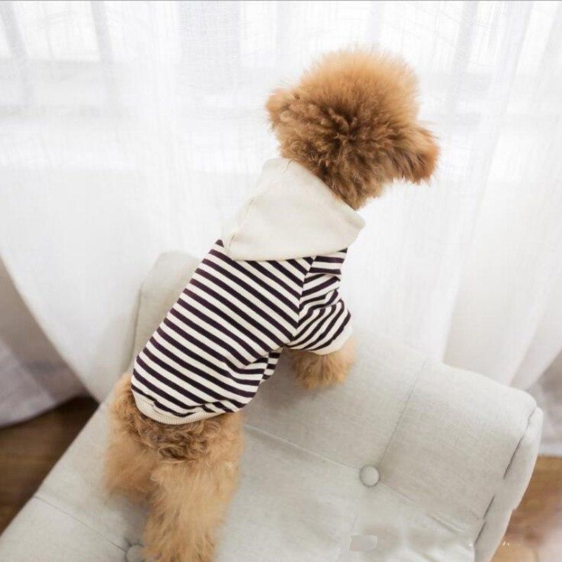 dog pet leisure parent-child