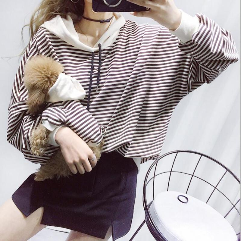 dog pet leisure parent-child