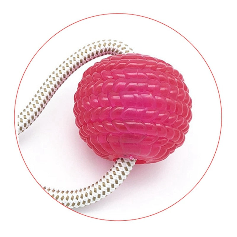 Multifunction Pet Molar Bite Toy Interactive fun Pet toy with suction cup dog push toy with TPR ball Pet Tooth Cleaning,Chewing