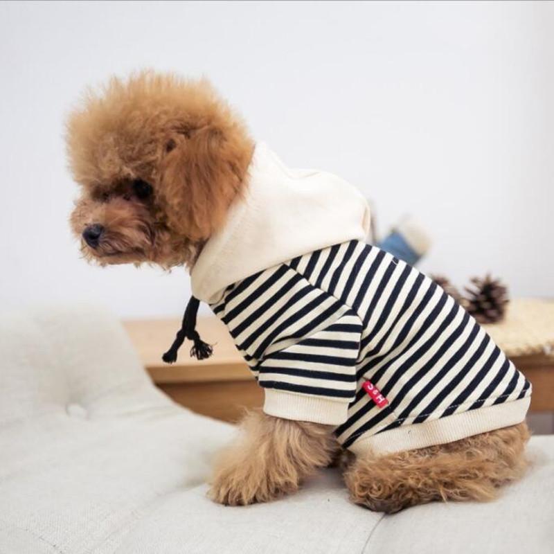 dog pet leisure parent-child