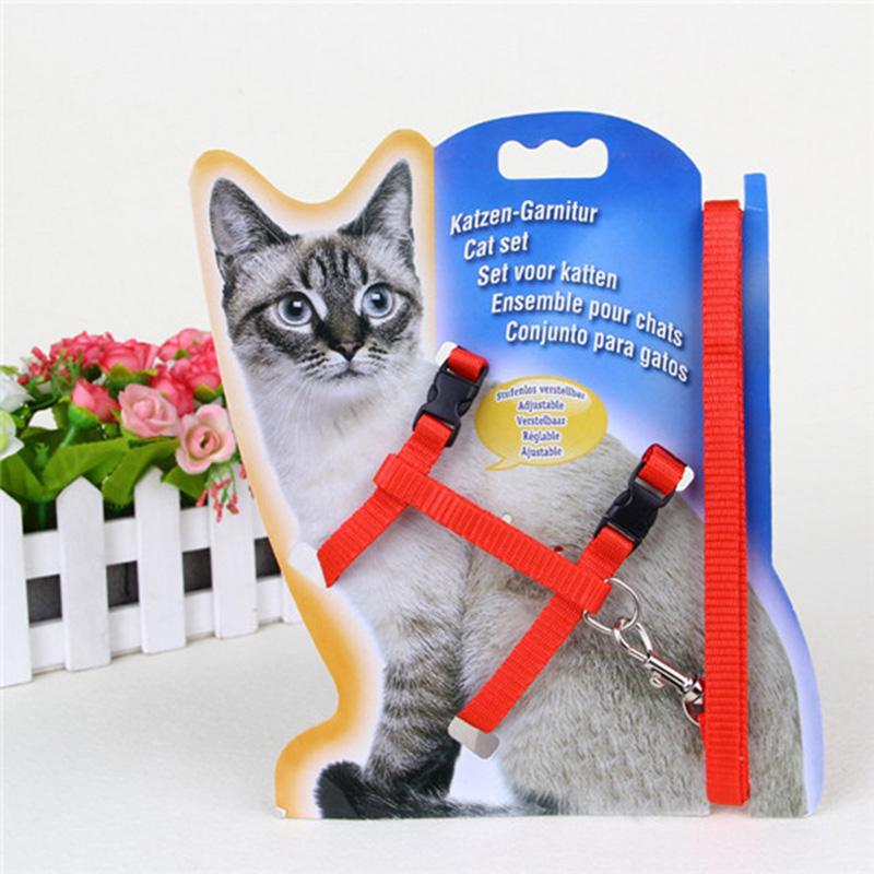 Cat Walking Leash | Dog Walking Leash | Pet Maze