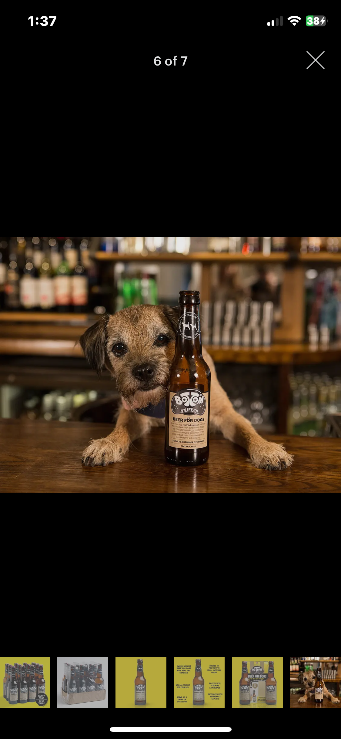 Non-alcoholic Dog Beer