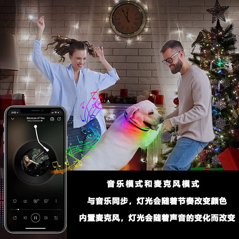 New Led Cat and Dog Collar Usb Rechargeable Mobile Phone App Application Controls Pet Supplies Luminous Collar