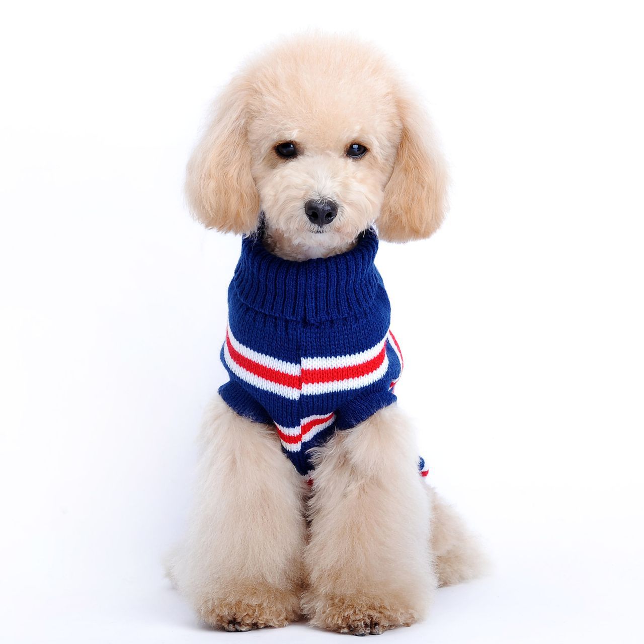 Pet Stripe Sweater | Pet Winter Sweater | Pet Maze