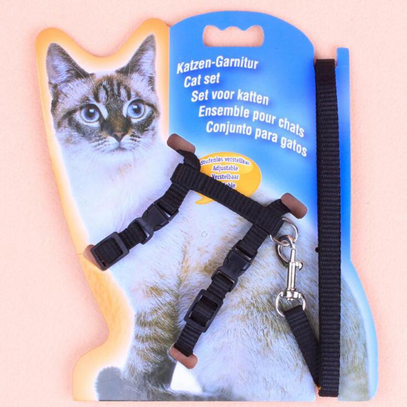 Cat Walking Leash | Dog Walking Leash | Pet Maze