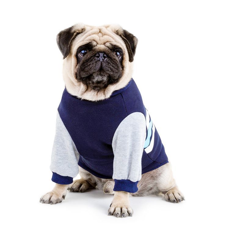 Pet Cotton Sweater | Pet Wave Warm Sweater | Pet Maze