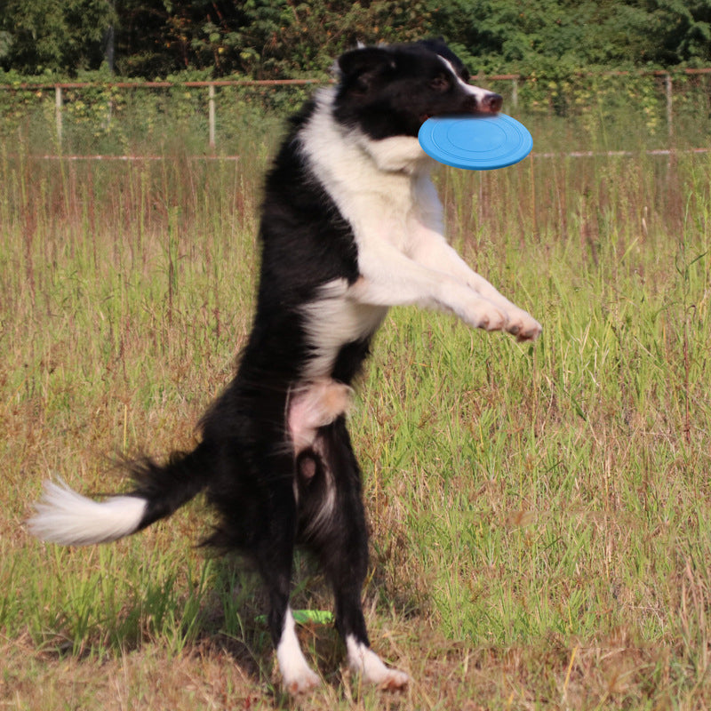 Pet Toy Dog Frisbee Pet Interactive Training Frisbee Floating Water Bite Resistant Soft Frisbee Pet Supplies