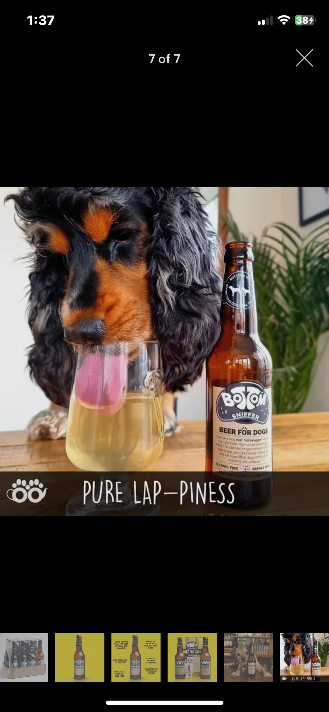 Non-alcoholic Dog Beer