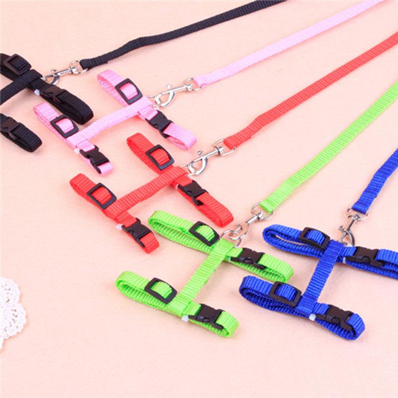 Cat Walking Leash | Dog Walking Leash | Pet Maze