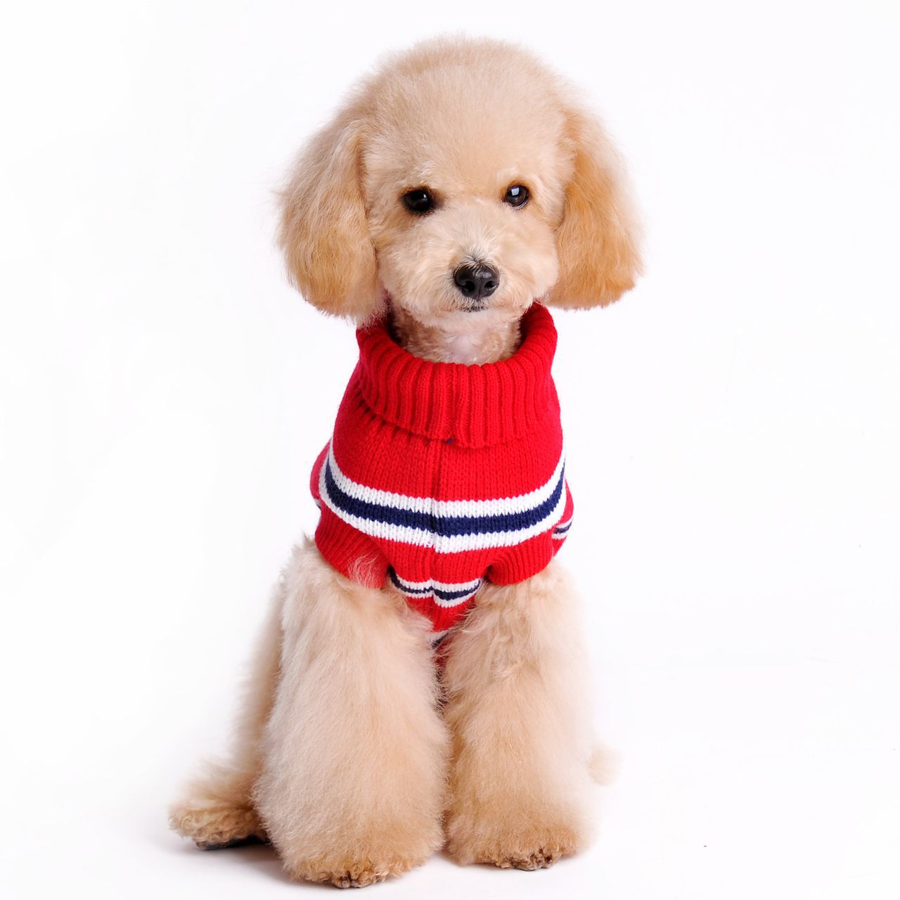 Pet Stripe Sweater | Pet Winter Sweater | Pet Maze