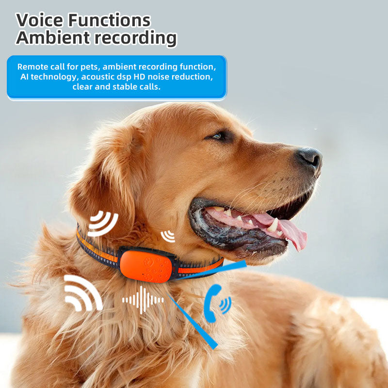 Pet GPS Tracker | Dog GPS Locator | Pet Maze