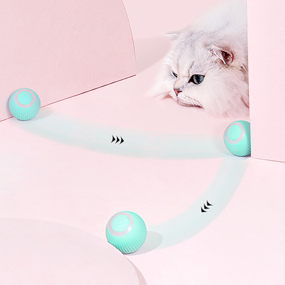 Gravitational Intelligent Rolling Ball Cat Ball Electric Cat Ball Cat Mint Sound Grinding Teeth Anti Bite Ball