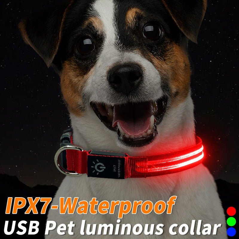 LED Pet Collar Waterproof Luminous Collar Night Walking Dog Flash Luminous Collar USB Charging