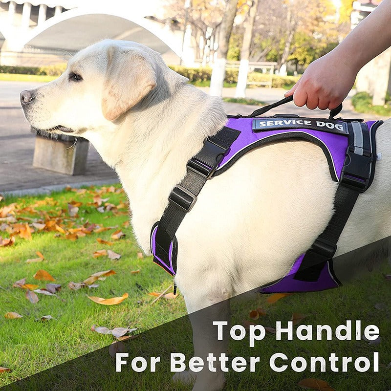 New Pet Traction Dog Explosion-Proof Punch Chest Strap Undershirt Type Reflective Pet Chest Strap