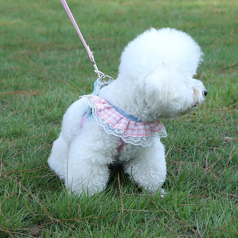 Fashion New Cat Anti-Breakaway Leash Small Dog Chest Strap Teddy Bichon Dog Chain Adjustable