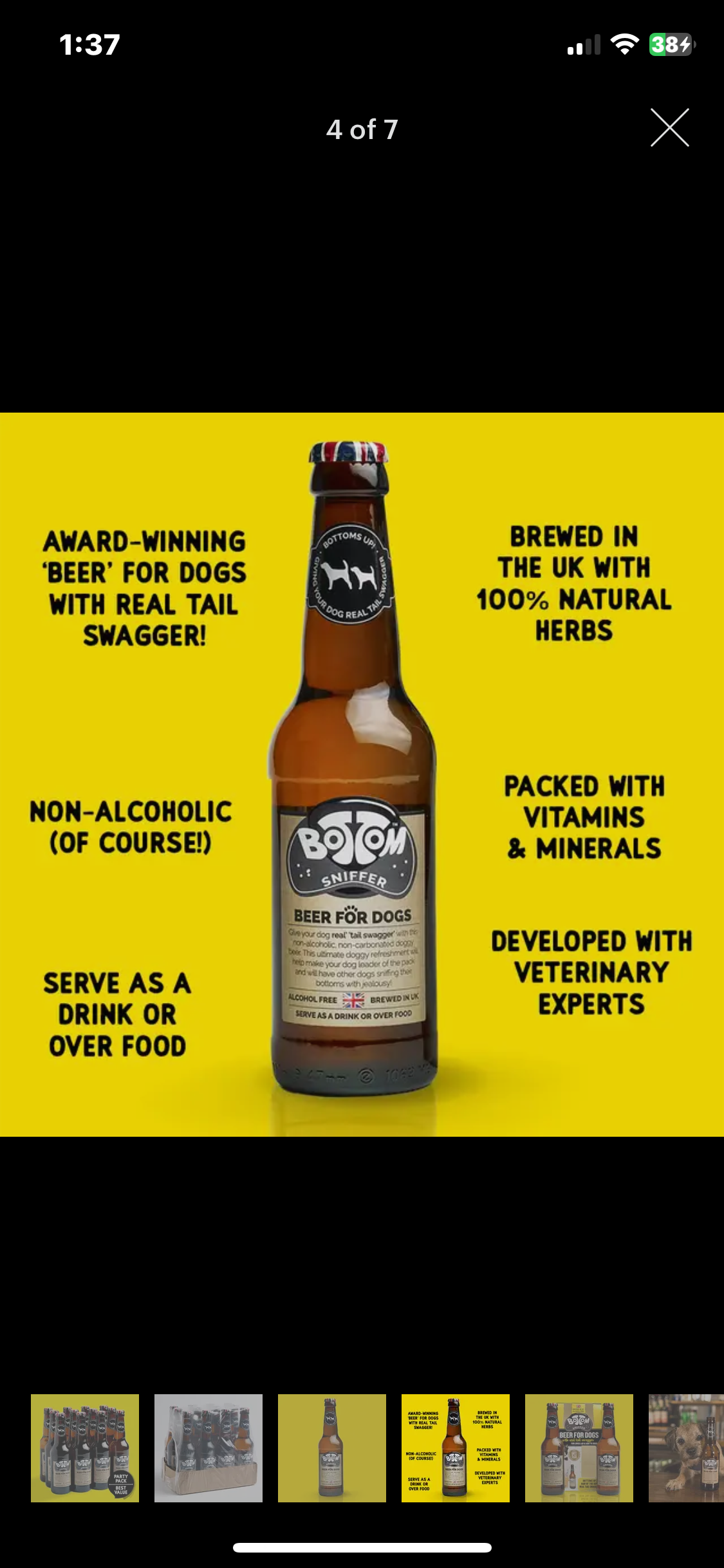 Non-alcoholic Dog Beer