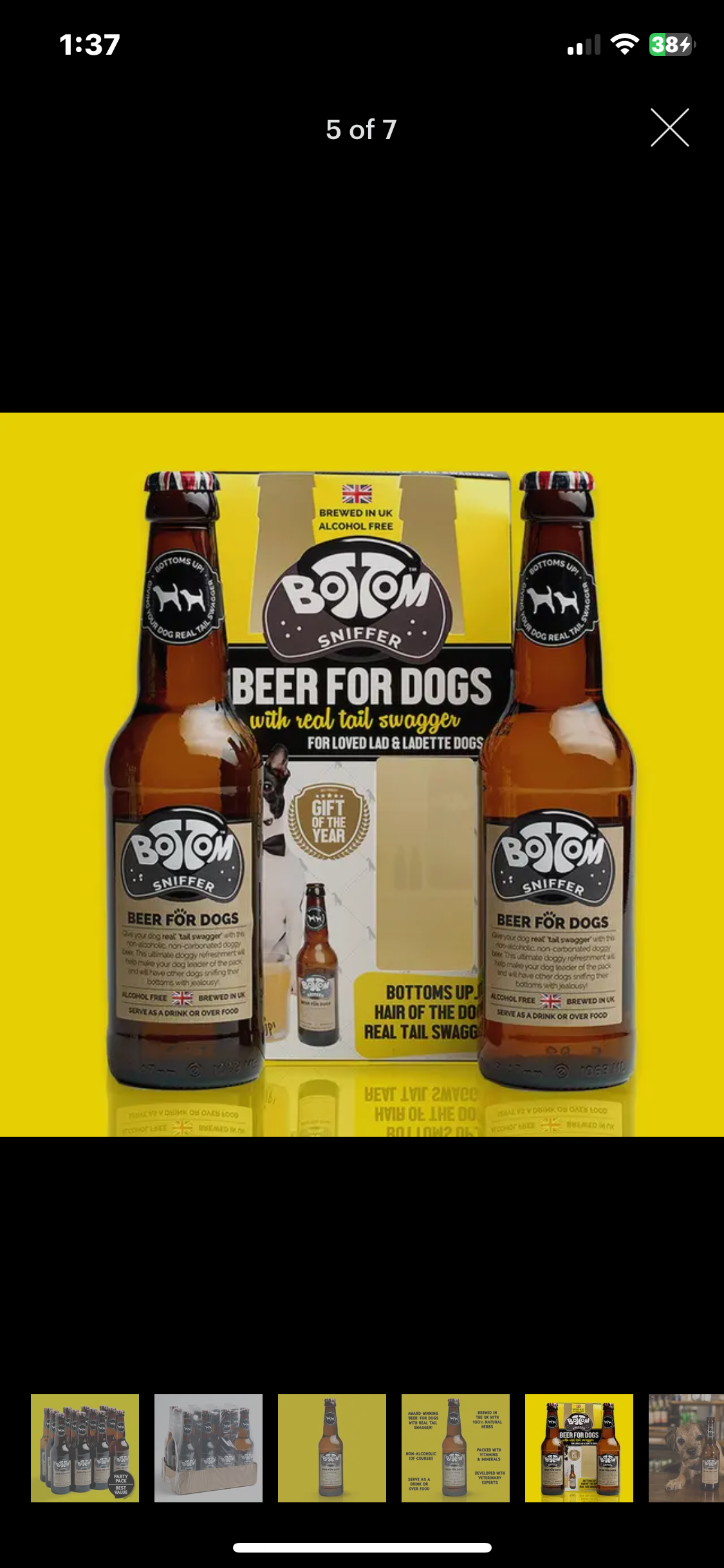 Non-alcoholic Dog Beer