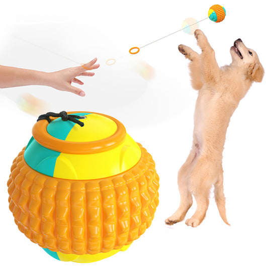 Pet Supplies Training Hand Throwing Ball Molars Bite Resistant Interactive And Fun Dog Toys