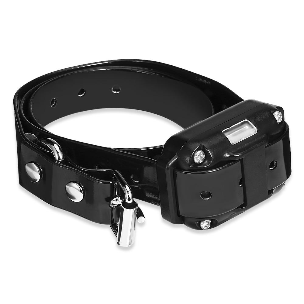 Dog Training Collar