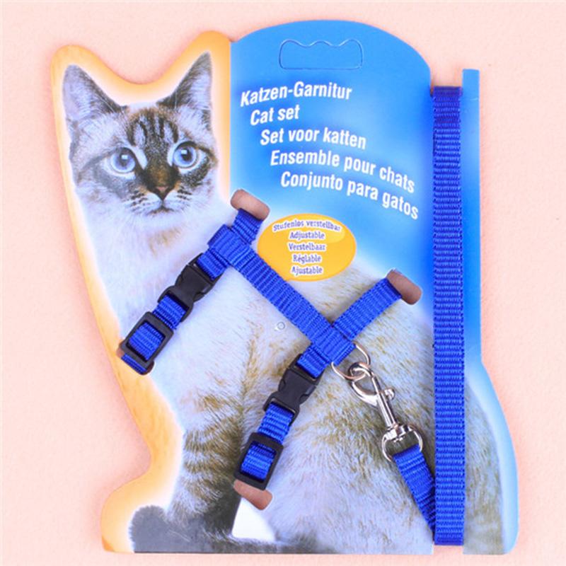 Cat Walking Leash | Dog Walking Leash | Pet Maze