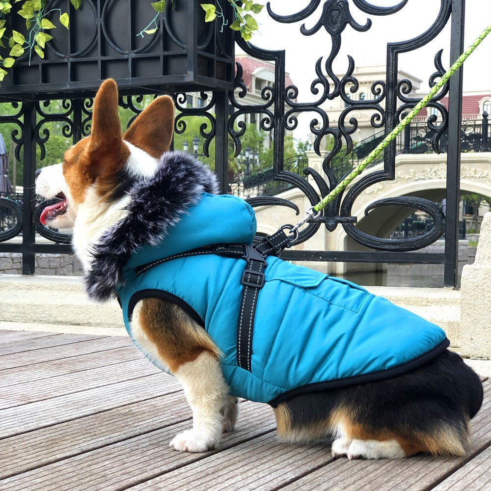 New Pet Cotton Clothes Reflective Warmth Dog Clothes Winter Wool Collar Plus Cotton Pet Clothing Cotton Vest Coat