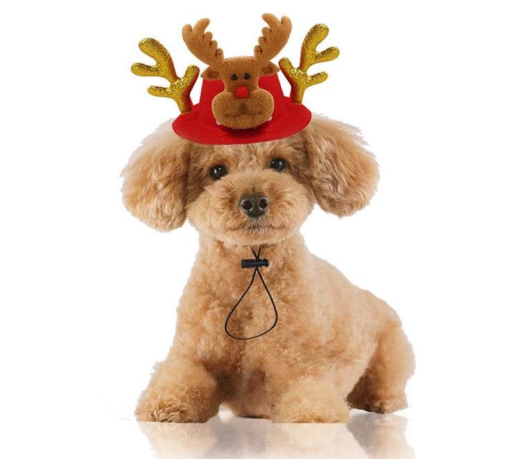 New Pet Hat Dog Christmas Halloween Headwear Cat Funny Headwear Medium Big Dog