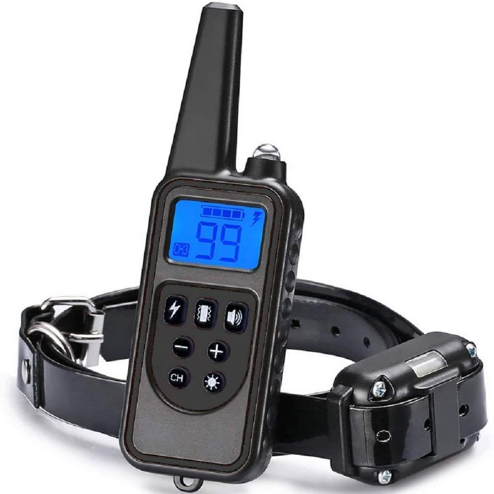 Dog Training Collar