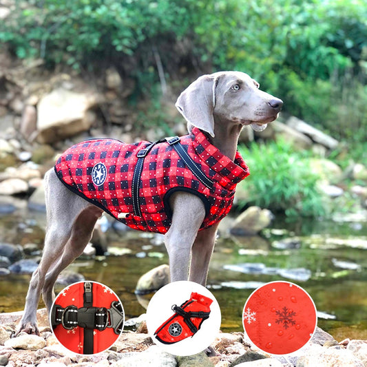 Pet Warm Clothes | Dog Cotton Clothes | Pet Maze