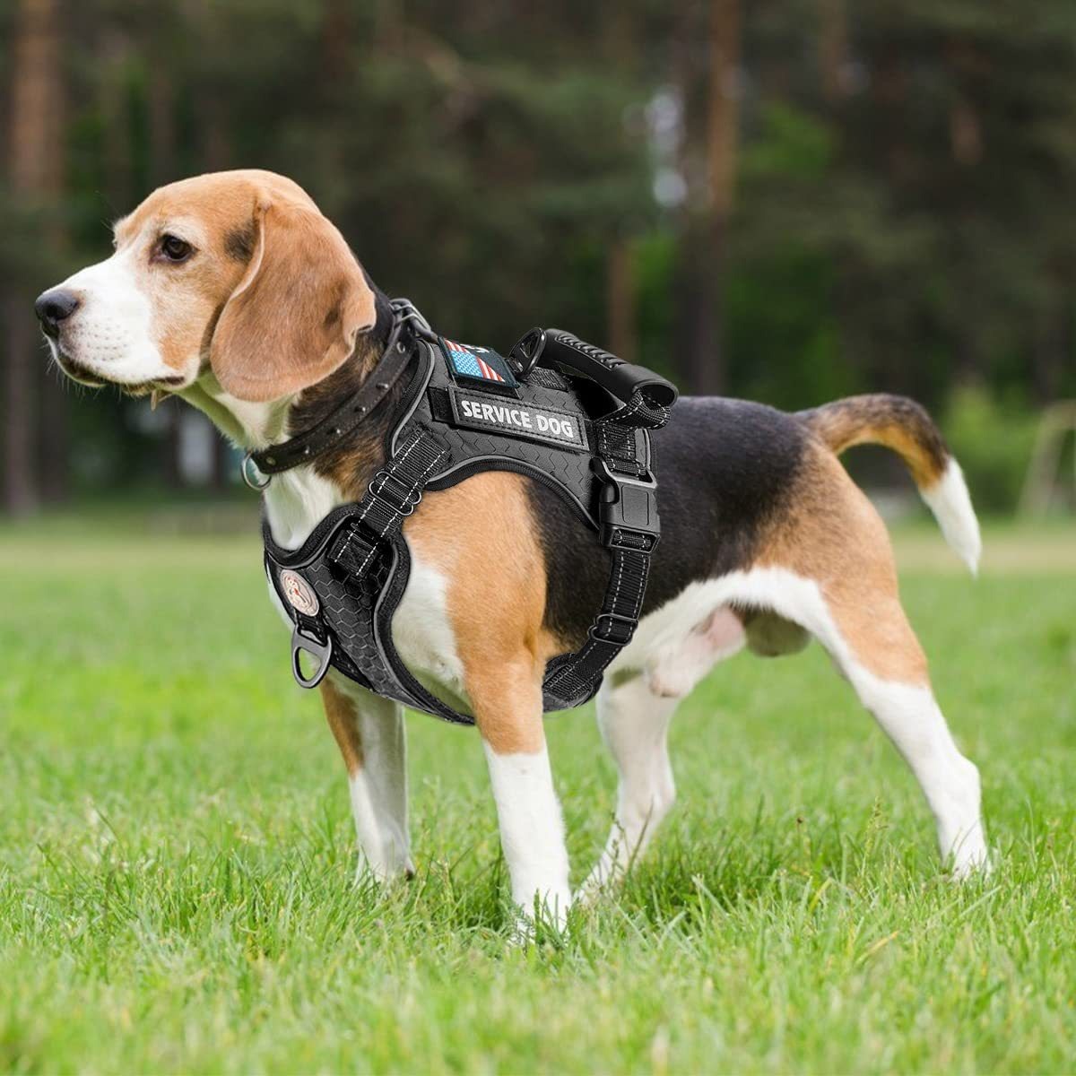 New Fashion Explosion-Proof Shock Absorption Comfortable Night Vision Reflective Pet Chest Strap Undershirt Traction Chest Strap Leash