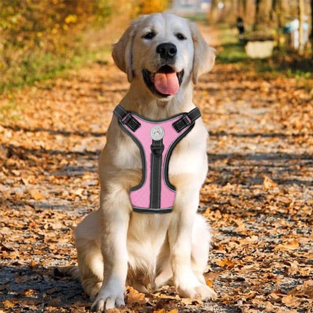 New Fashion Explosion-Proof Shock Absorption Comfortable Night Vision Reflective Pet Chest Strap Undershirt Traction Chest Strap Leash