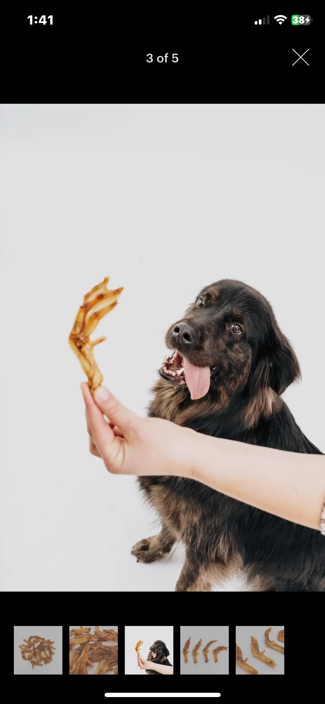 Duck Feet dog treats